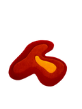 Amber Rug